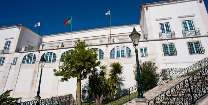 Organiza&ccedil;&atilde;o